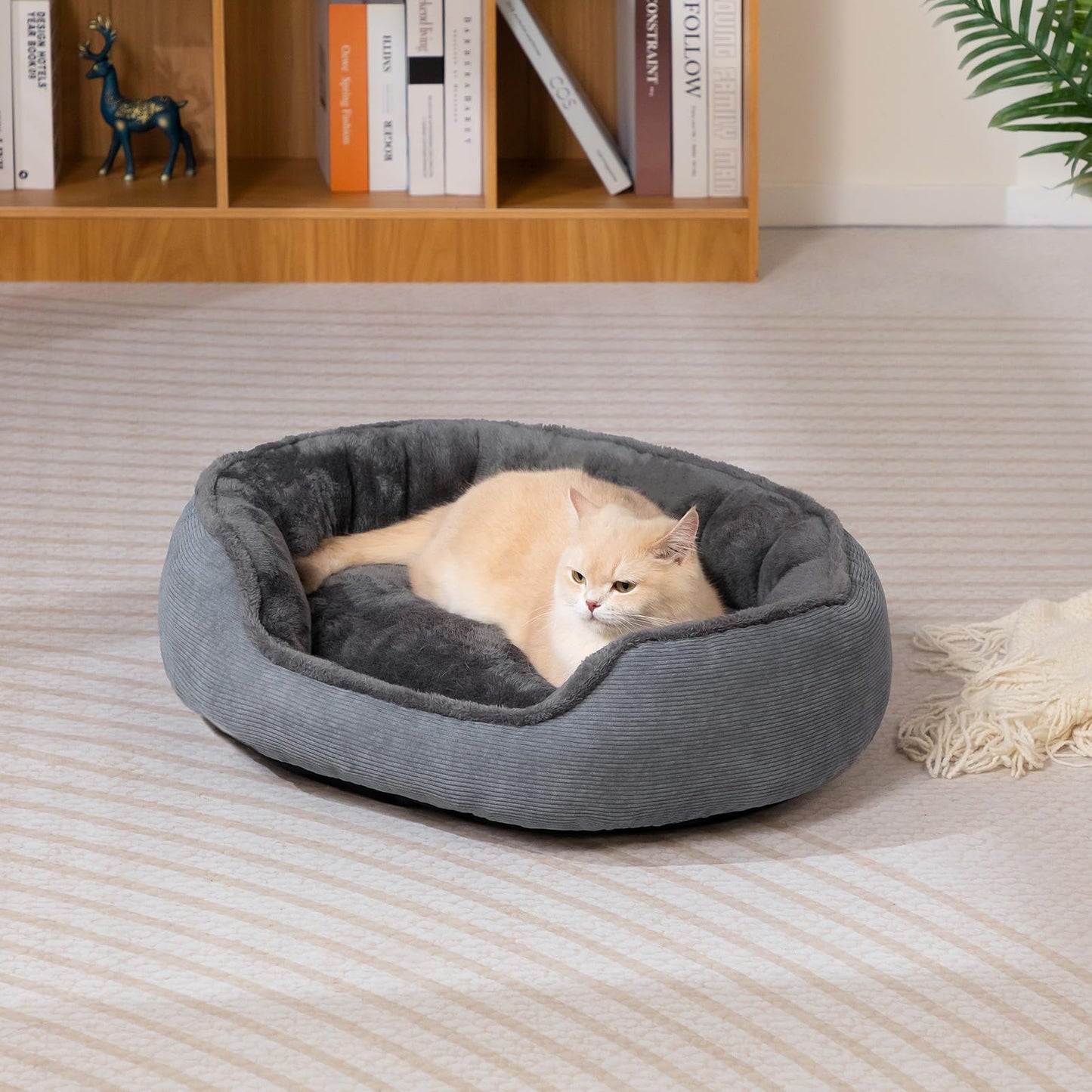MyPetra Round Cat Bed 55cm – Soft Breathable Sleeping Cushion for Cats & Puppies (Dark Grey)
